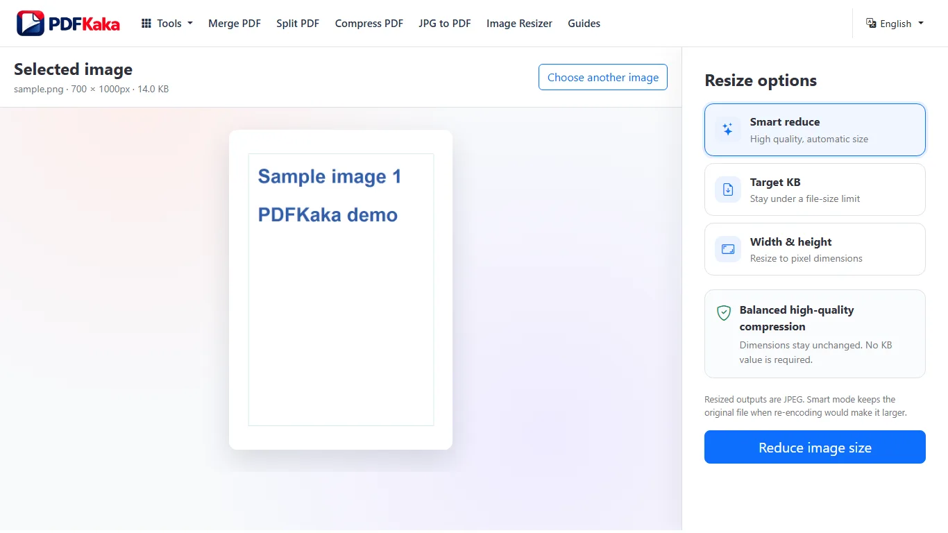 Capture the Image Resizer workspace at 1366×768 with synthetic sample content and the controls used by this workflow visible.